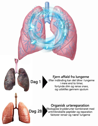 𝑳𝒆𝒓𝒄𝒆𝒂™ 𝑴𝒖𝒍𝒍𝒆𝒊𝒏 𝑪𝒍𝒆𝒂𝒓 𝑳𝒖𝒏𝒈 𝑹𝒆𝒑𝒂𝒊𝒓 𝑪𝒓𝒆𝒂𝒎👨‍⚕️Anbefalet af Dansk Thorax Selskab (DSRM) til støtte for lungesundheden🎁
